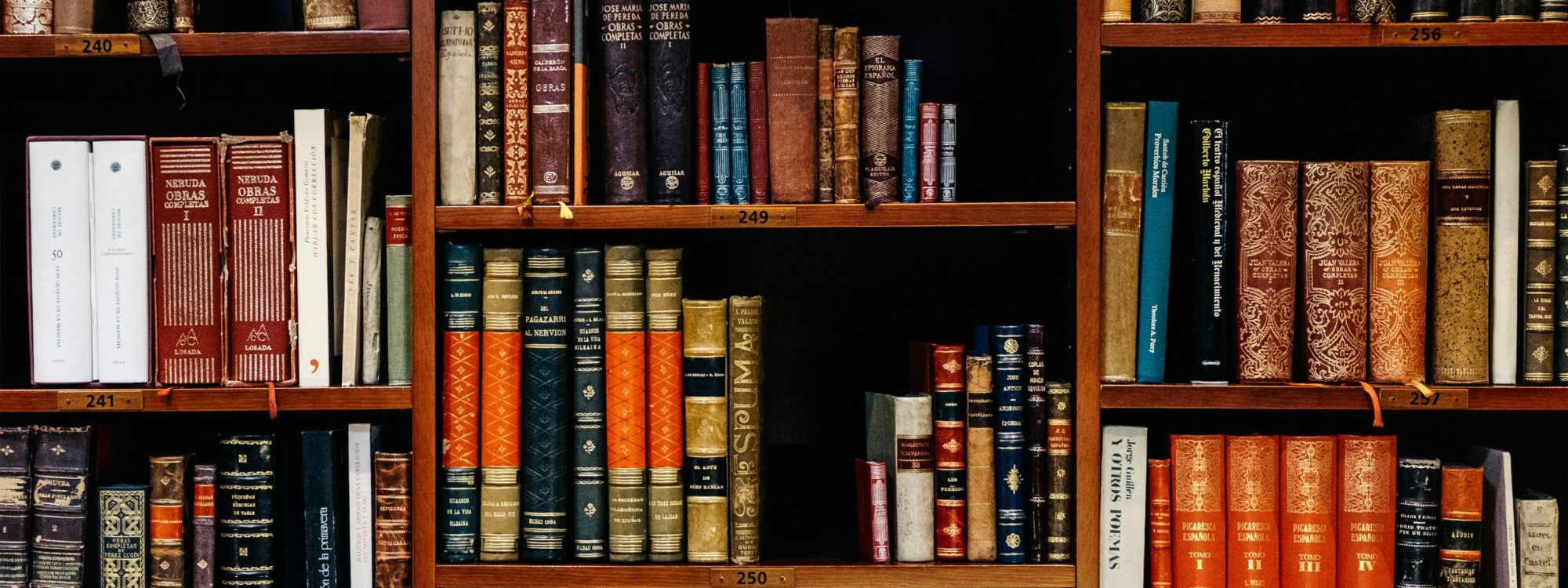 inaki-del-olmo-NIJuEQw0RKg-unsplash